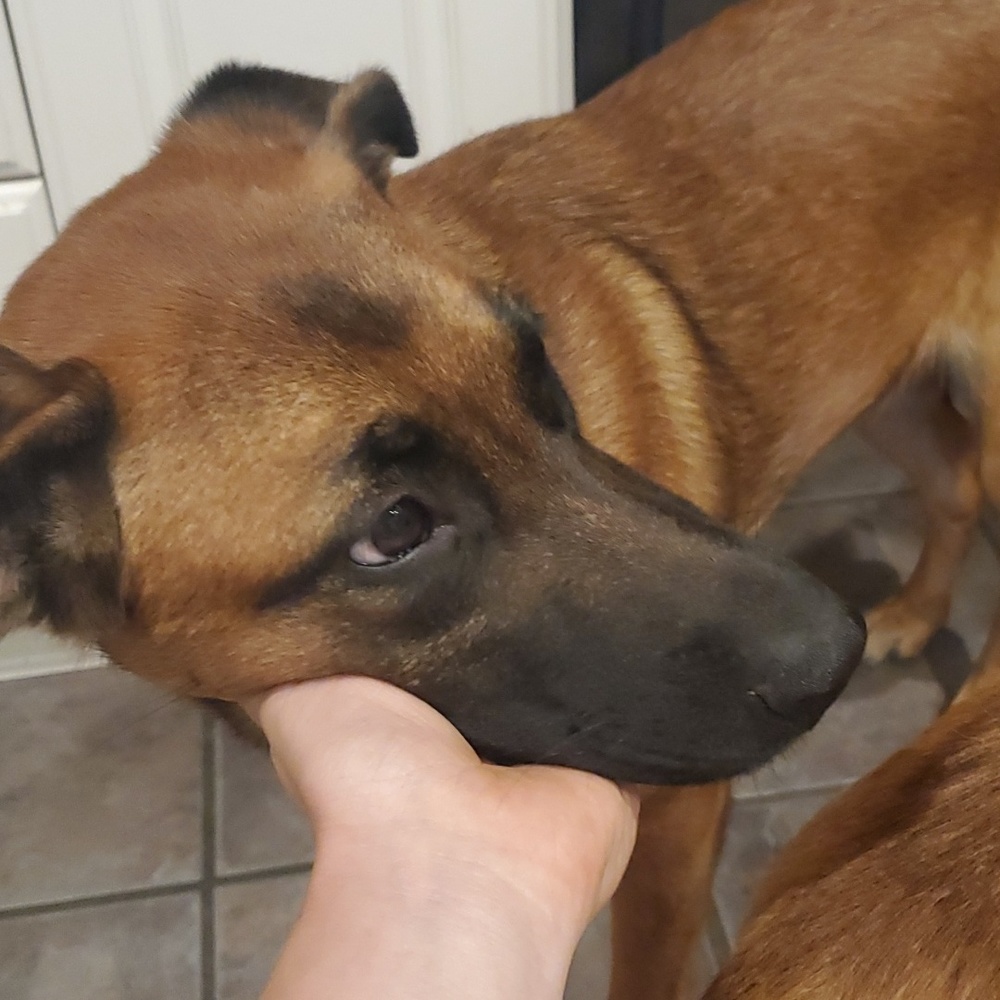 Meet your Posher, Riley